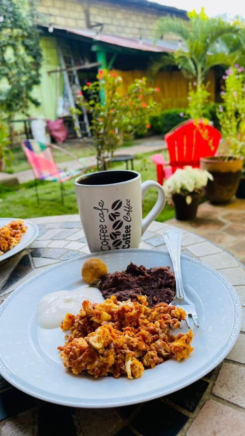 Hostal El Jardin León Екстериор снимка