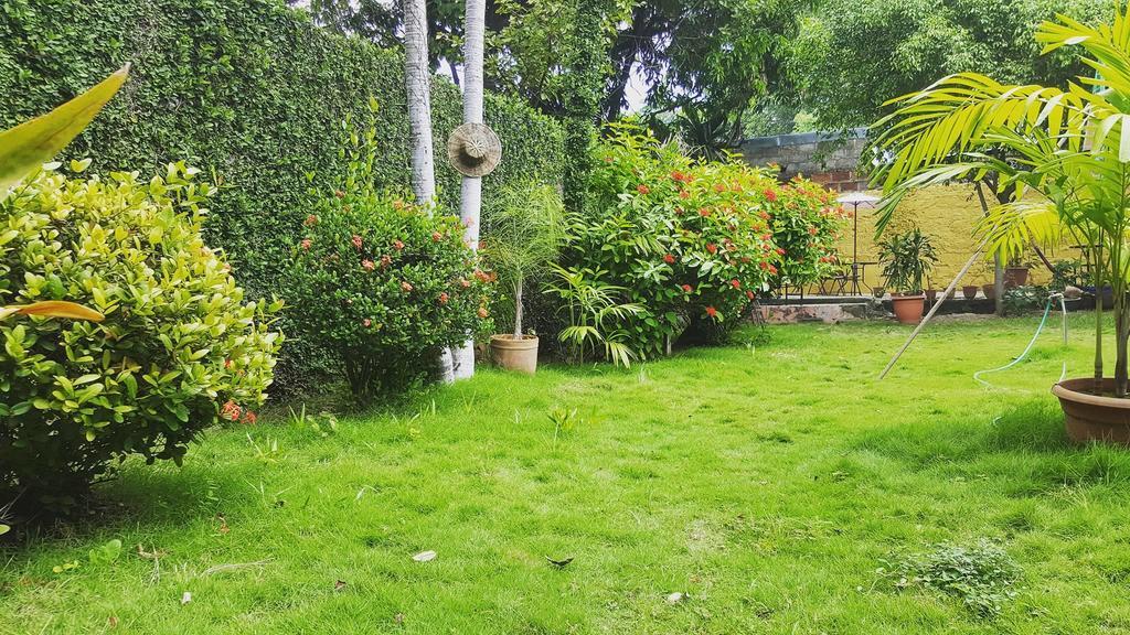 Hostal El Jardin León Екстериор снимка
